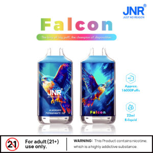 JNR-FALCON-16000-PUFF wholesale disposable vapes with flavor switching and European Top Vape Brands List