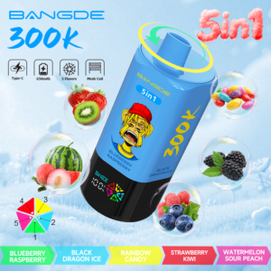 BANG DE 300000 PUFFS 5IN1 Disposable Vape 4 wholesale disposable vape