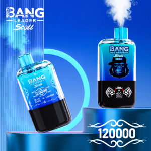BANG LEADER 2IN1 120000 PUFF wholesale disposable vape