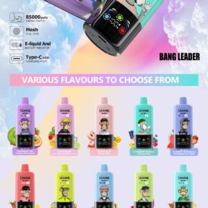 BANG LEADER 3IN1 85000 PUFF wholesale disposable vape