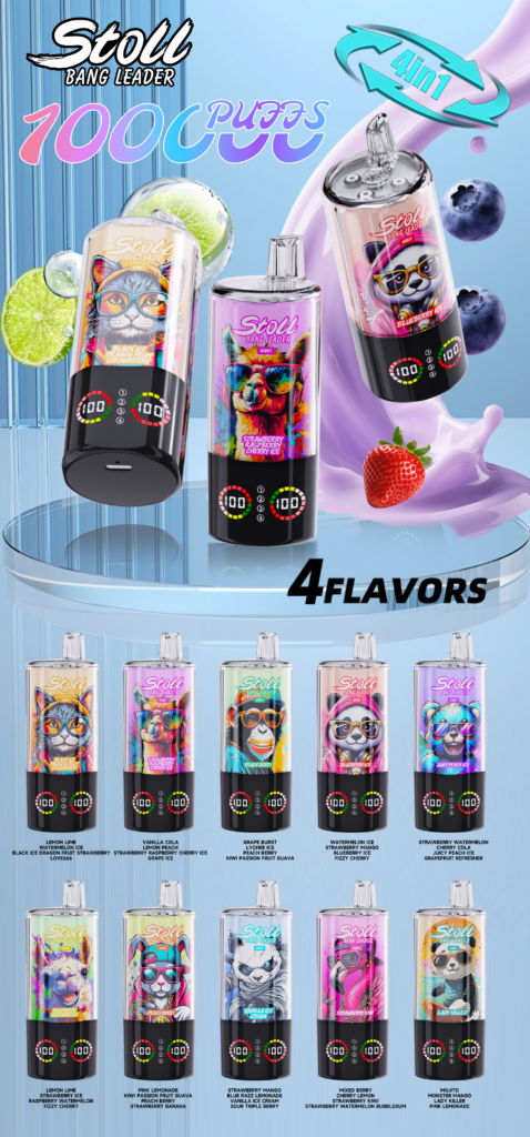 BANG LEADER 4IN1 100000 PUFF 12 Scaled wholesale disposable vape