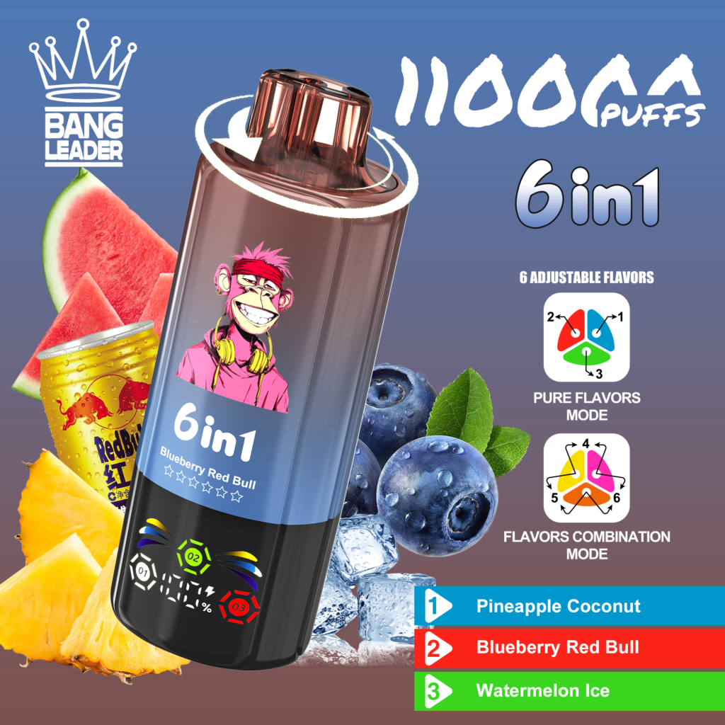 BANG LEADER 6IN1 110000 PUFF 3 wholesale disposable vape