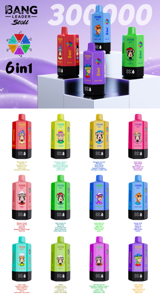 BANG LEADER 6IN1 300000 PUFF 11 Scaled wholesale disposable vape