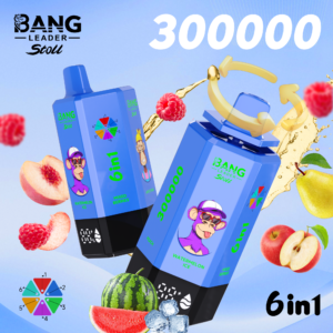 BANG LEADER 6IN1 300000 PUFF 9 wholesale disposable vape