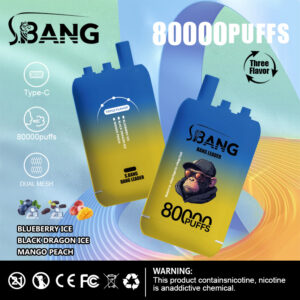 BANG LEADER 80000 PUFF 10 wholesale disposable vape