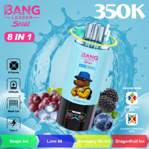 BANG LEADER 8IN1 350000 PUFF wholesale disposable vape